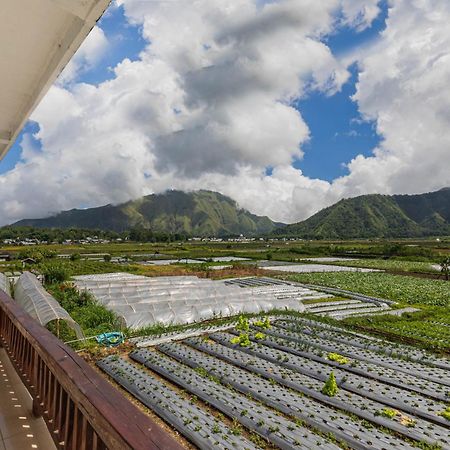 Teras Sawah Guest House Syariah Sembalunlawang Exteriör bild
