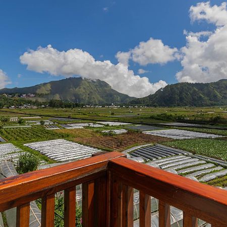 Teras Sawah Guest House Syariah Sembalunlawang Exteriör bild