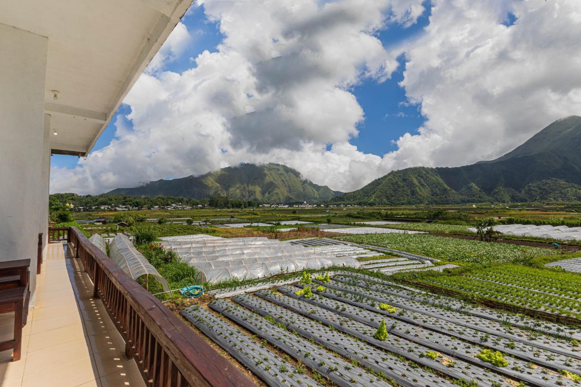 Teras Sawah Guest House Syariah Sembalunlawang Exteriör bild